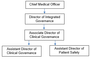 chart Departmental structure chart